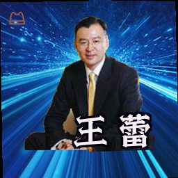 王蕾